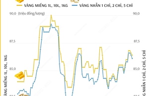 Giá vàng SJC sáng 14/1/2025