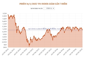 Phiên 14/1, VN-Index giảm gần 7 điểm