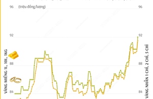 Giá vàng SJC sáng 11/2 tăng vọt, vàng miếng lên 92 triệu đồng/lượng