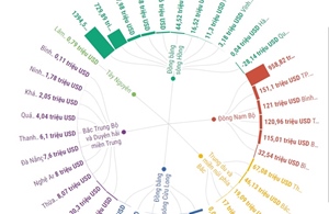 Tình hình thu hút đầu tư nước ngoài tháng 1/2025