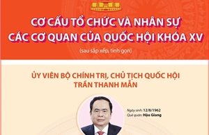 Cơ cấu tổ chức và nhân sự các cơ quan của Quốc hội khóa XV