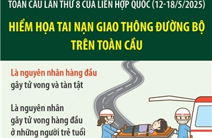 Hiểm họa tai nạn giao thông đường bộ trên toàn cầu