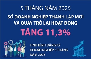 5 tháng năm 2025, số doanh nghiệp thành lập mới và quay trở lại hoạt động tăng 11,3%