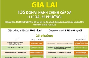 Thông tin chi tiết sắp xếp các đơn vị hành chính cấp xã của tỉnh Gia Lai