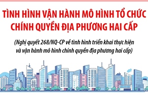 Tình hình vận hành mô hình tổ chức chính quyền địa phương hai cấp