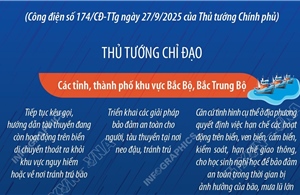 Quyết liệt phòng, chống Bão số 10 (bão BUALOI): Thành lập Ban chỉ đạo tiền phương tại các tỉnh có tâm bão đi qua để ứng phó bão, mưa lũ