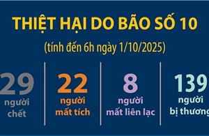 Thiệt hại do bão số 10 (tính đến 6h ngày 1/10/2025)