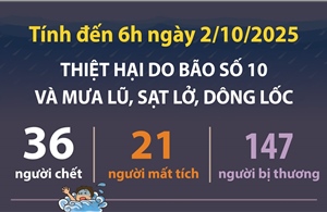 Thiệt hại do bão số 10 và mưa lũ, sạt lở, dông lốc