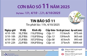  Đường đi của bão số 11 năm 2025