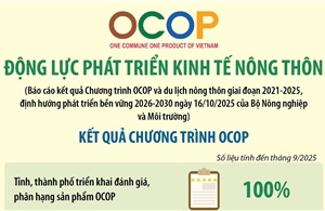 OCOP: Động lực phát triển kinh tế nông thôn