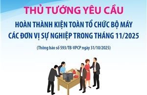 Thủ tướng yêu cầu kiện toàn tổ chức bộ máy các đơn vị sự nghiệp trong tháng 11/2025
