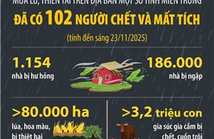 Đã có 102 người chết và mất tích (tính đến sáng 23/11/2025) trong mưa lũ