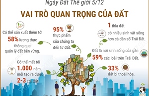 Ngày Đất Thế giới 5/12: Vai trò quan trọng của đất