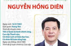 Ủy viên Trung ương Đảng, Phó Bí thư chuyên trách Đảng ủy Quốc hội Nguyễn Hồng Diên