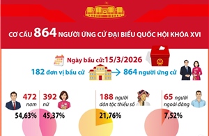 Thống kê cơ cấu 864 người ứng cử Đại biểu Quốc hội khóa XVI