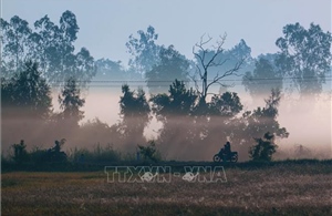 Vẻ đẹp thơ mộng miền quê Cần Thơ trong sương sớm 