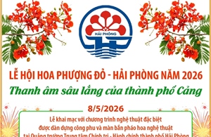 Lễ hội Hoa Phượng Đỏ - Hải Phòng năm 2026: Thanh âm sâu lắng của thành phố Cảng