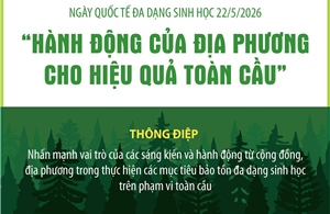 Ngày Quốc tế đa dạng sinh học 22/5/2026: 'Hành động của địa phương cho hiệu quả toàn cầu'