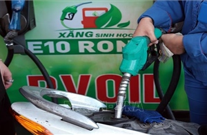 Công bố địa chỉ email tiếp nhận phản ánh về xăng E10