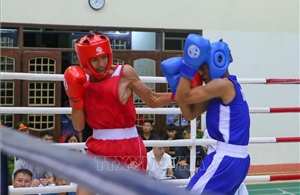 Hơn 500 vận động viên tham gia giải Vô địch Boxing trẻ toàn quốc năm 2026