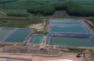 Vụ trại nuôi lợn gây ô nhiễm tại Đắk Lắk: Xử phạt doanh nghiệp 180 triệu đồng