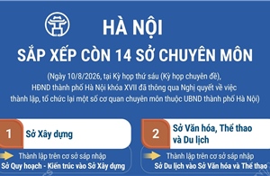 Hà Nội sắp xếp còn 14 sở chuyên môn