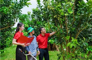 Agribank đồng hành cùng Giải báo chí toàn quốc về nông nghiệp, nông dân, nông thôn Việt Nam năm 2024