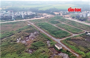 TP Hồ Chí Minh phê duyệt dự án xây dựng hệ số điều chỉnh giá đất 