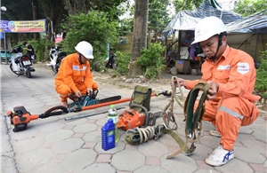 EVNHANOI tăng cường bảo vệ an toàn hành lang lưới điện, ngăn ngừa sự cố do mưa bão