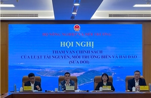 Sửa đổi, tháo gỡ rào cản để phát triển bền vững kinh tế biển