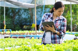 Phát triển nông nghiệp thông minh - Bài cuối: Khi AI và dữ liệu không gian thay đổi cách làm nông