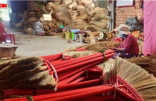 Nghề làm chổi bông cỏ ở Tây Ninh