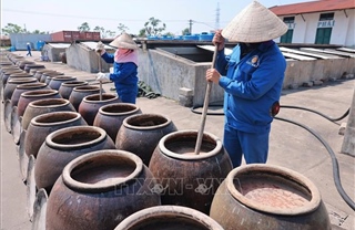 Nước mắm Cát Hải - Khẳng định thương hiệu Việt