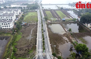 Khu hồ sen dự định làm nơi lắng nước &#39;rửa&#39; sông Tô Lịch