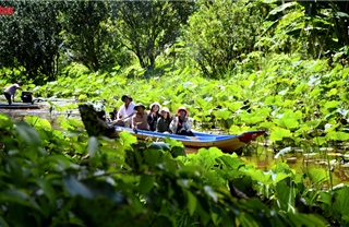 Về U Minh Hạ trải nghiệm du lịch xanh ở Mười Ngọt và Sông Trẹm