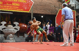 Rộn ràng hội vật đình Mai Động đầu Xuân Bính Ngọ