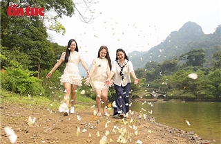 Mùa bướm rực rỡ ở Cúc Phương hút khách trải nghiệm thiên nhiên nguyên sơ