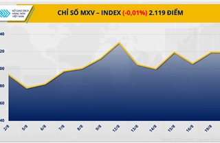 Tâm lý thị trường còn thận trọng, chỉ số MXV-Index đi ngang