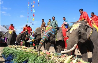 Đặc sắc Hội voi Buôn Đôn