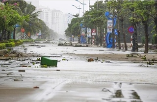 Thanh Hóa tan hoang sau bão số 10