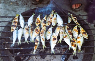 Nghệ An: Cá trích nướng than hoa tại các làng biển Hải Châu bất ngờ hút khách