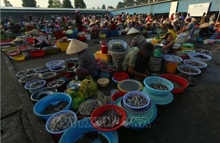 Nét quê ở chợ phường Vị Thanh (Cần Thơ)
