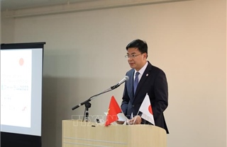 Đẩy mạnh hoạt động hợp tác, xúc tiến đầu tư giữa Việt Nam và Nhật Bản
