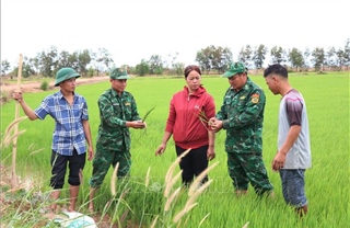 Bộ đội Biên phòng &#39;tiếp sức&#39; cho nhân dân vùng biên Đắk Lắk