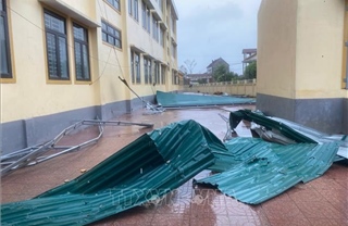 Bão số 10 gây thiệt hại nặng nề tại Hà Tĩnh
