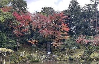 Kenrokuen, một trong những khu vườn đẹp nhất Nhật Bản vào mùa thu