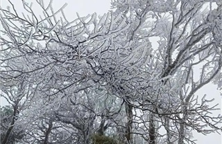 Băng giá phủ kín đỉnh Phia Oắc