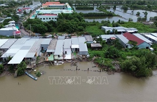 Cà Mau: Sạt lở diễn biến phức tạp ở bờ sông Gành Hào
