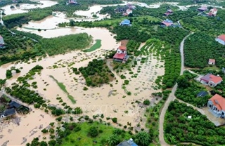 Mưa lũ nhấn chìm hàng nghìn ha lúa, hoa màu ở Bắc Ninh