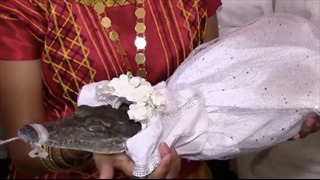Thị trưởng ở Mexico thực hiện nghi lễ truyền thống cưới cá sấu